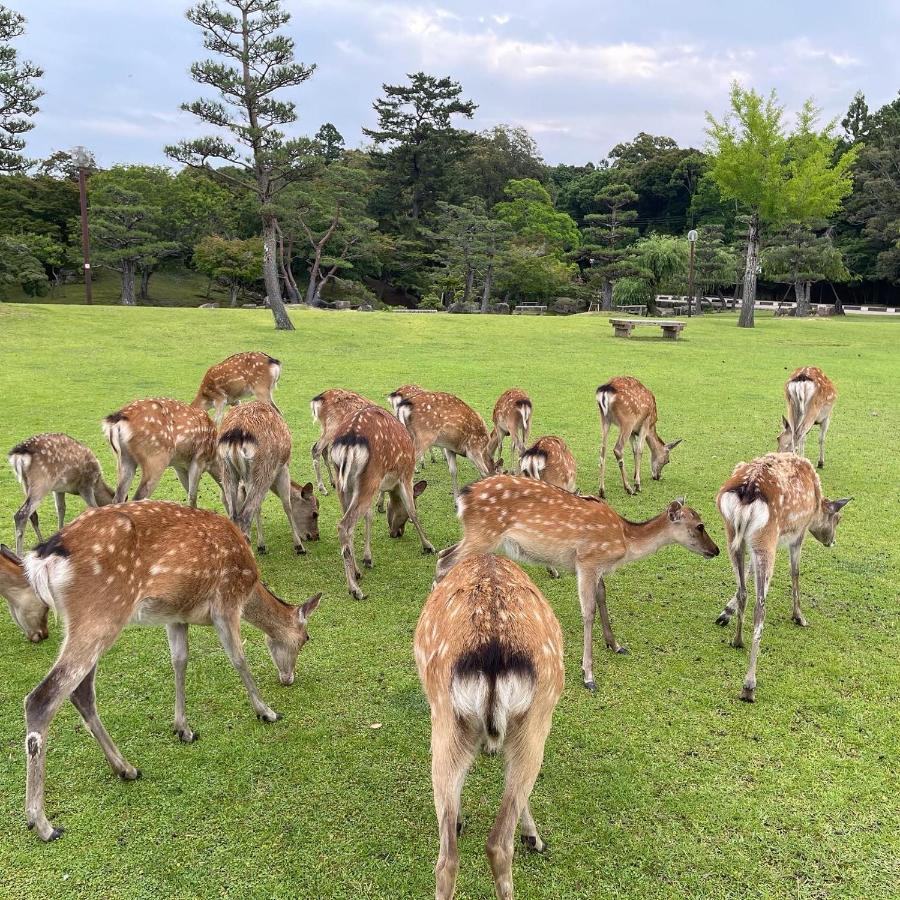 Ryokan Kousen Kazeya Group Nara Extérieur photo