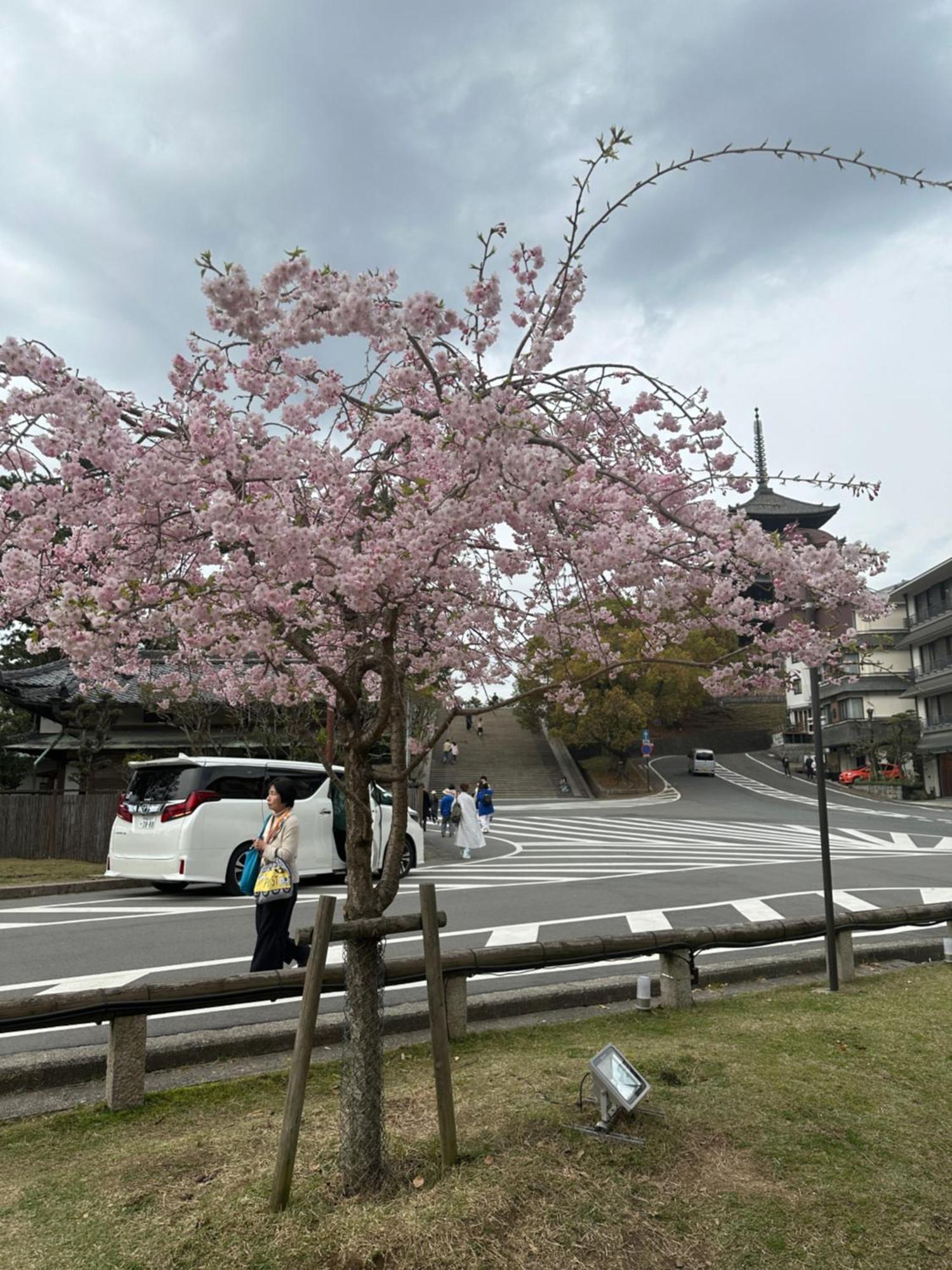 Ryokan Kousen Kazeya Group Nara Extérieur photo